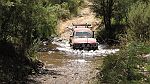 33-Gopher splashes across Buckwong Creek near NSW border